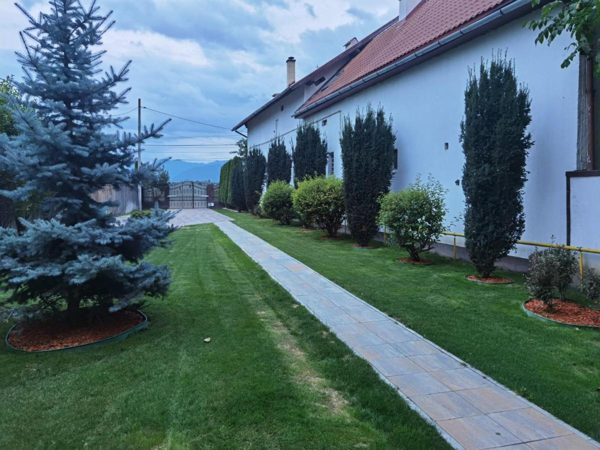 Janine Garden Hotel Brasov Exterior photo